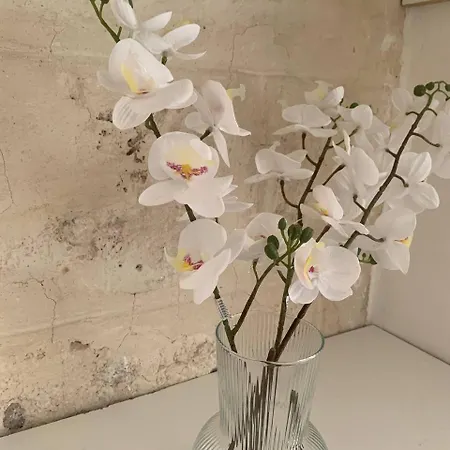 Dimora Pugliese 公寓